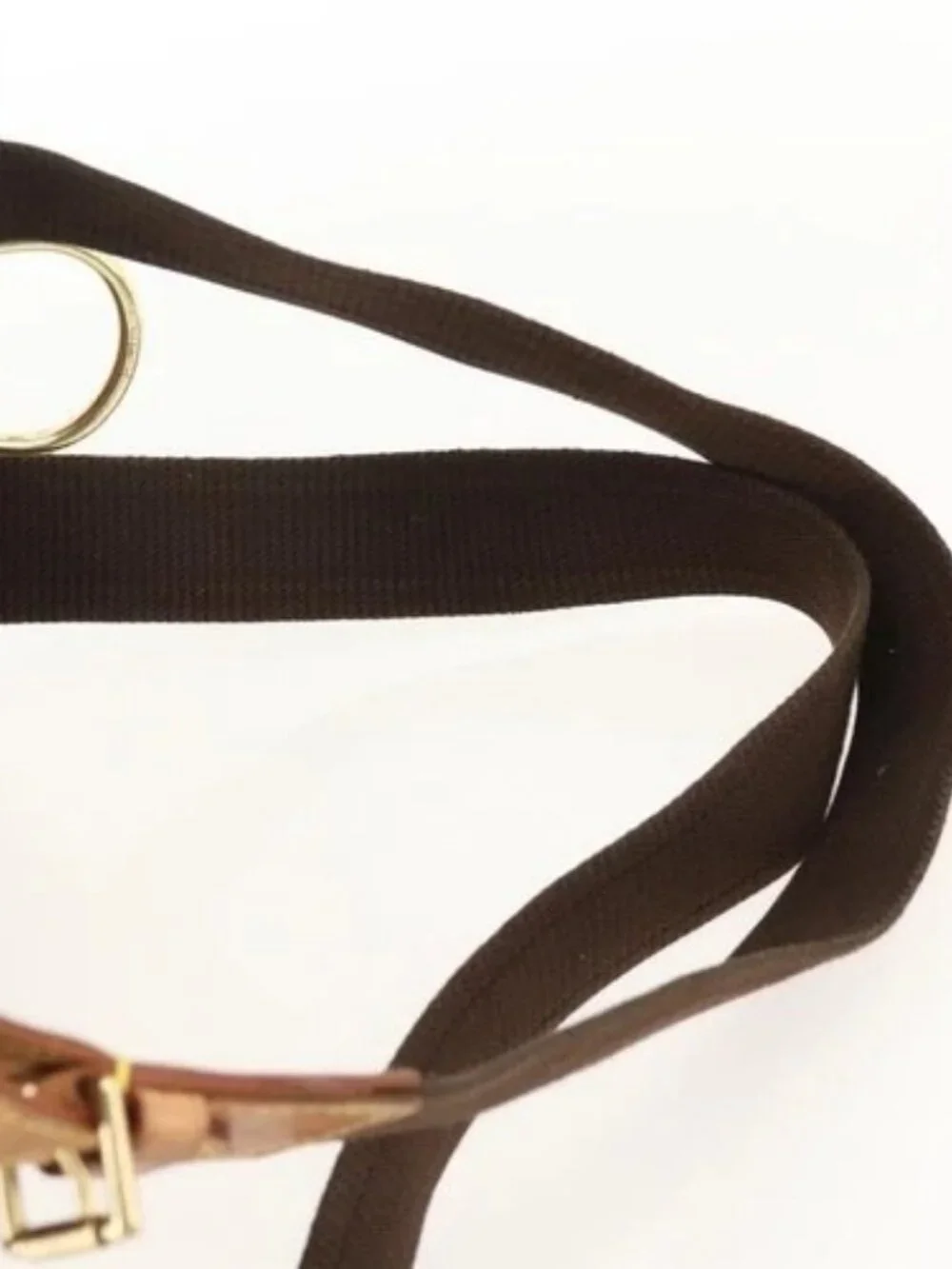 Louis Vuitton brand louis